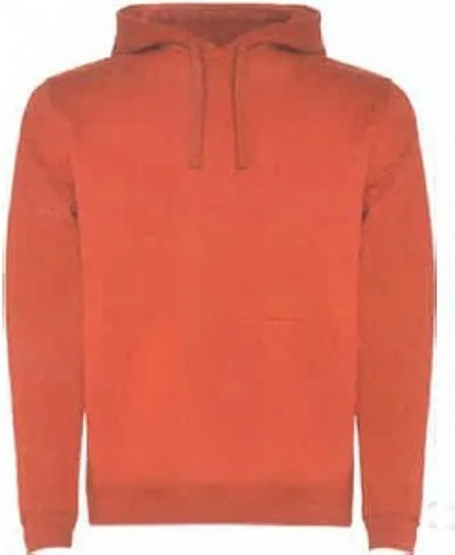 Sudadera capucha unisex