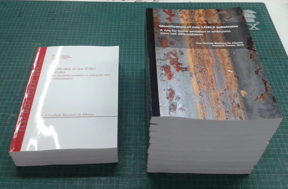 Dos acabados diferentes para una tesis doctoral